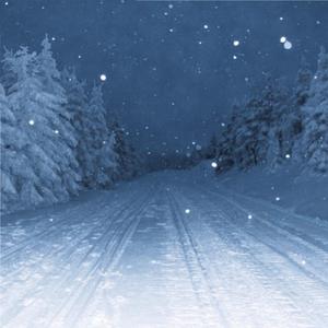 凯·帕克姨妈三部曲
