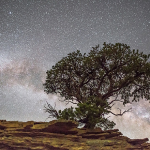 凯·帕克姨妈三部曲
