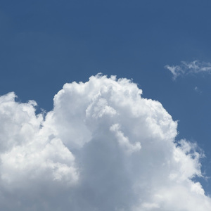 凯·帕克姨妈三部曲
