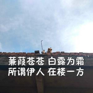 凯·帕克姨妈三部曲
